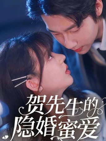 贺先生的隐婚蜜爱
