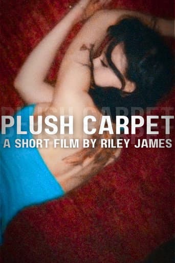Plush Carpet
