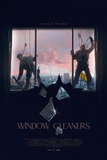 Window Cleaners