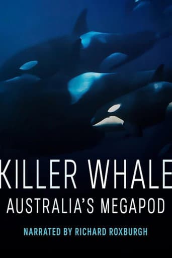 Killer Whale: Australia's Megapod