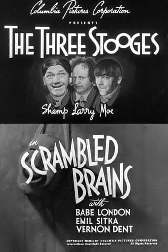 Scrambled Brains