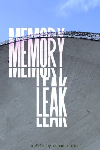 Memory Leak