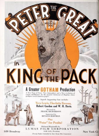 King of the Pack