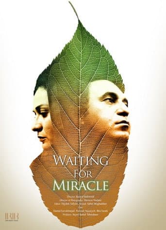 Waiting For Miracle