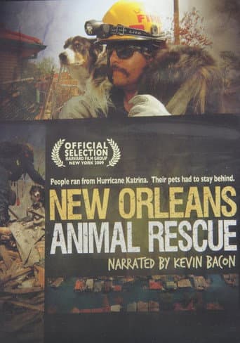 New Orleans Animal Rescue