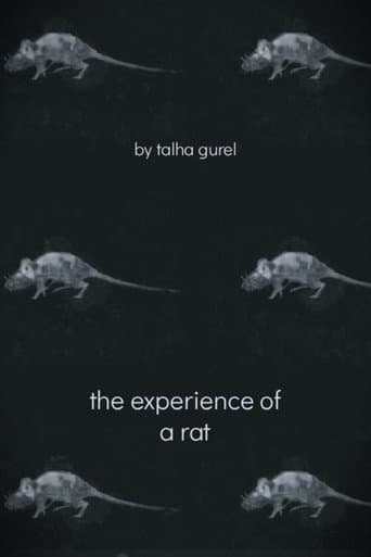 The Experience of a Rat