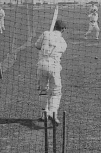Cricket Again!