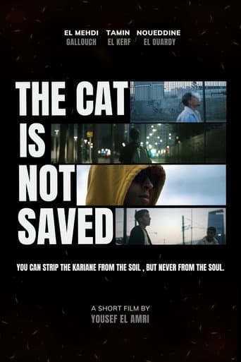 The cat is not saved