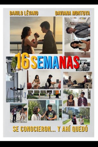 16 semanas