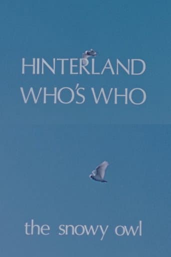 Hinterland Who's Who: The Snowy Owl