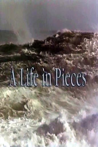 A Life In Pieces