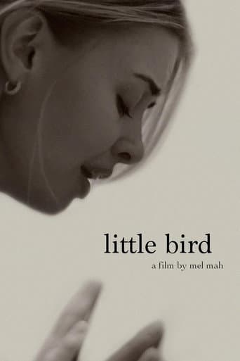Little Bird
