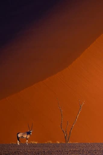 Namibie : exceptionnelle par nature