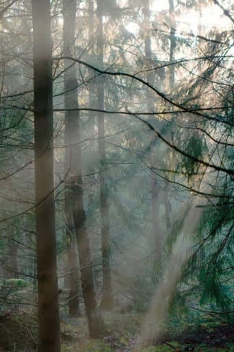 Silence