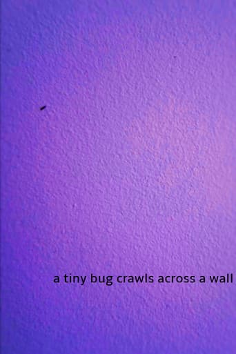 a tiny bug crawls across a wall