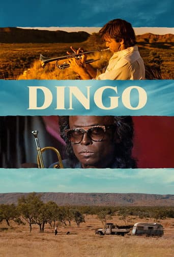 Dingo