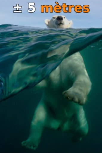 ± 5 Meters From the Surface of the Oceans