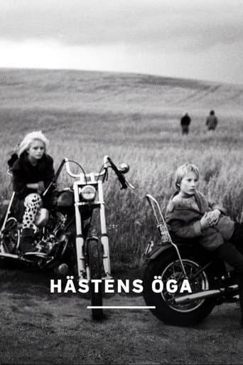Hästens öga