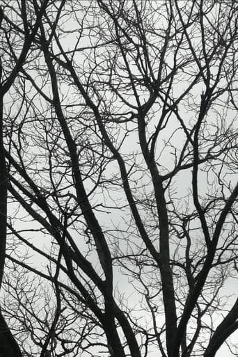 Tree Limbs