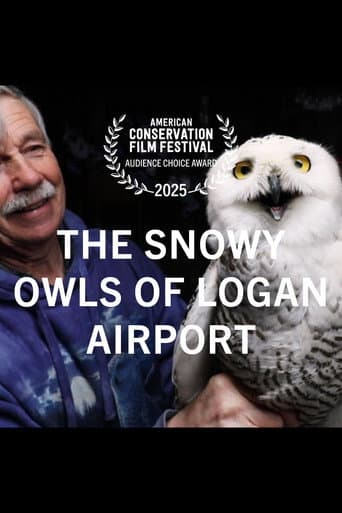 The Snowy Owls of Logan Airport