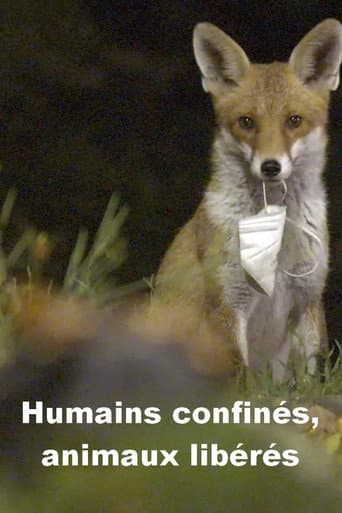 Menschen eingesperrt, Tiere befreit