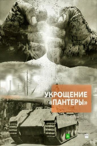 Укрощение «Пантеры»