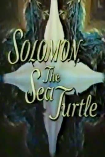 Solomon, the Sea Turtle