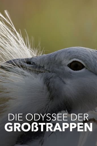 Glorious Bustards