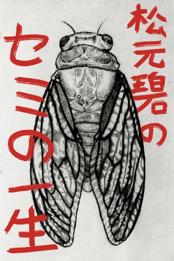 Midori Matsumoto’s: The Life Cycle Of A Cicada