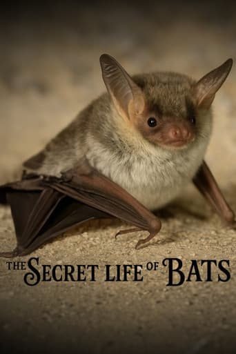 The Secret Life of Bats