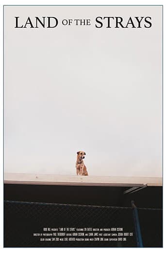 Land of the Strays