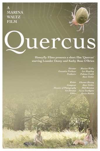 Quercus
