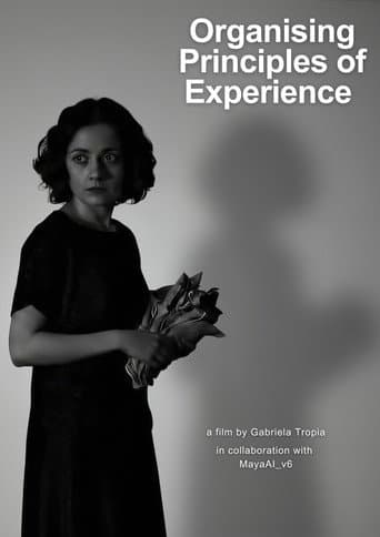 Organising Principles of Experience