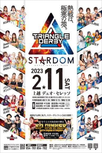 Stardom Triangle Derby I in Joetsu