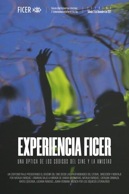 Experiencia FICER