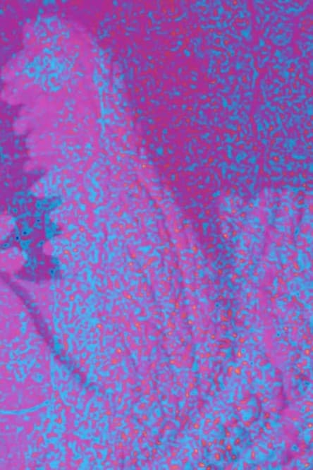 Jeb Rex Memorial Video