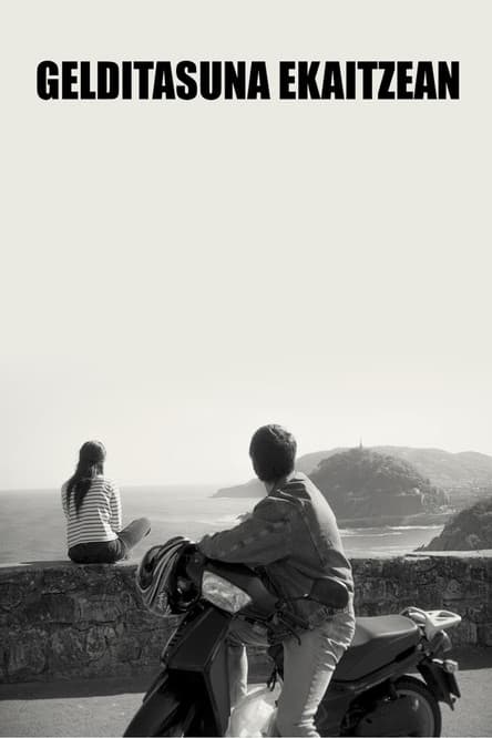 Stillness in the Storm