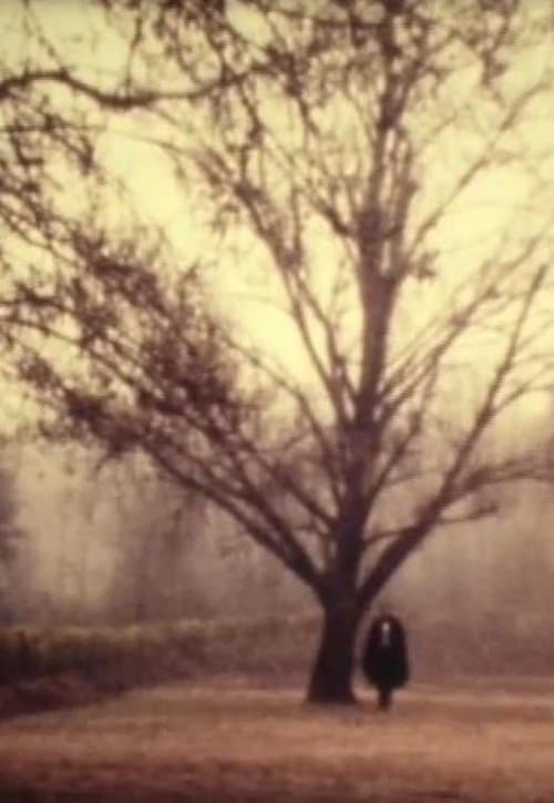 D. Jaime or the Portuguese Night