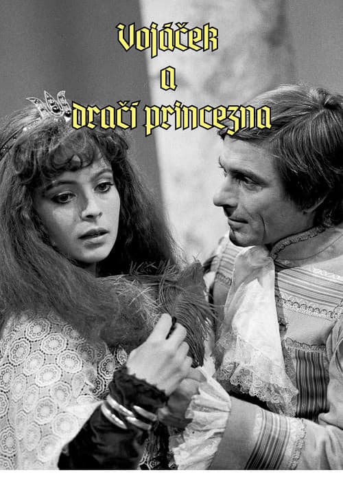 Vojáček a dračí princezna