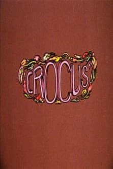 Crocus