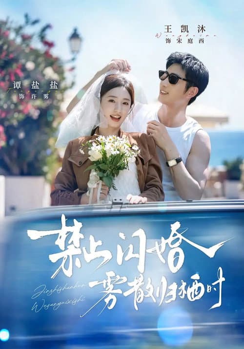 禁止闪婚，雾散归栖时