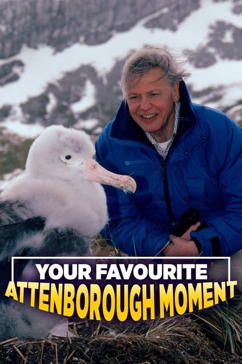Your Favourite Attenborough Moment
