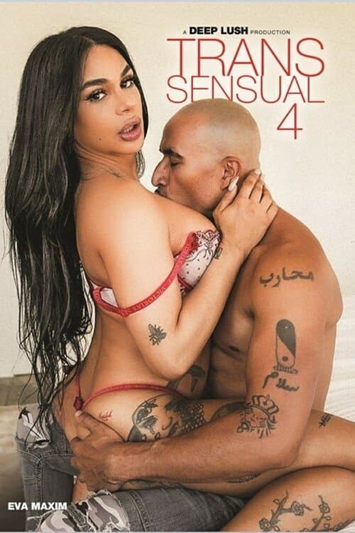 TransSensual 4