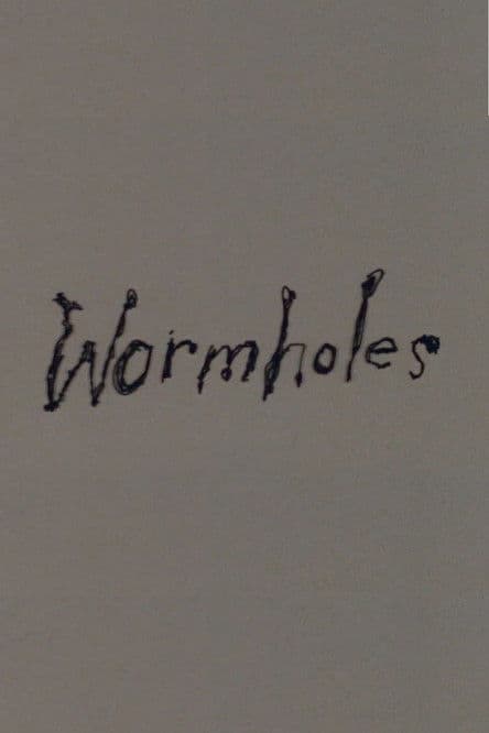 Wormholes