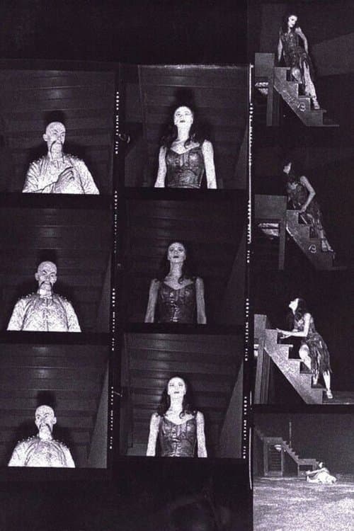 The Miraculous Mandarin