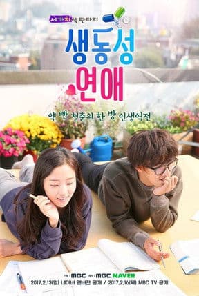 Romance Full of Life