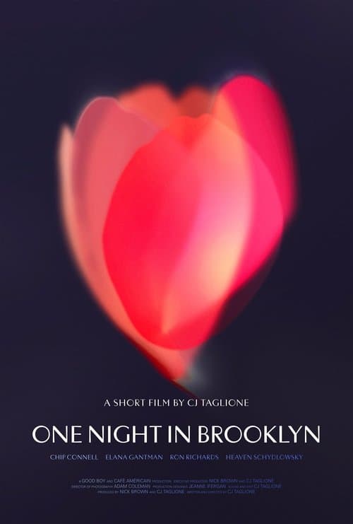 One Night in Brooklyn