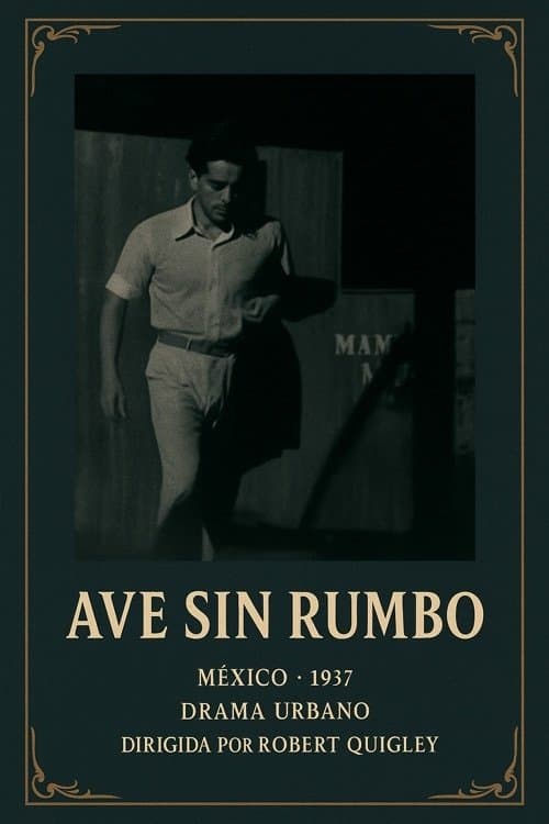 Ave sin rumbo