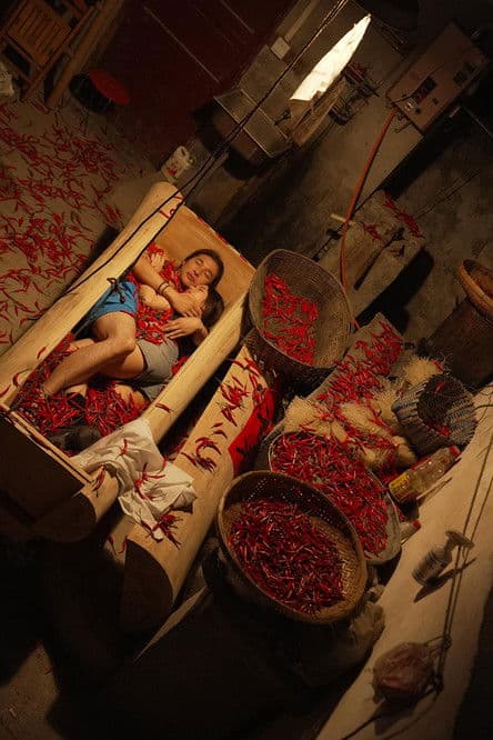 Sweet, Sour, Bitter...