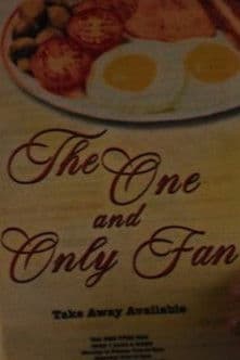 The One and Only Fan